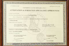 diploma de studii-atestare dr Andrei Muresan